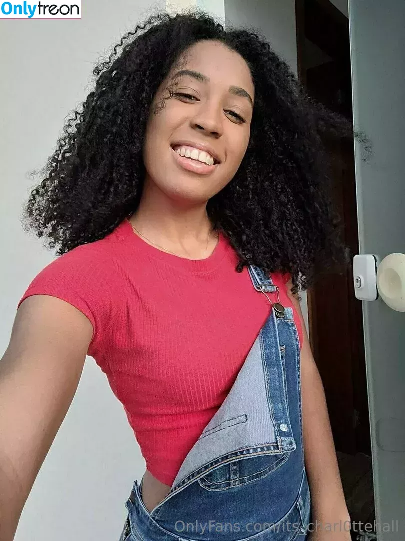 its_charl0ttehall nude photo #0110 (its_charl0tte)
