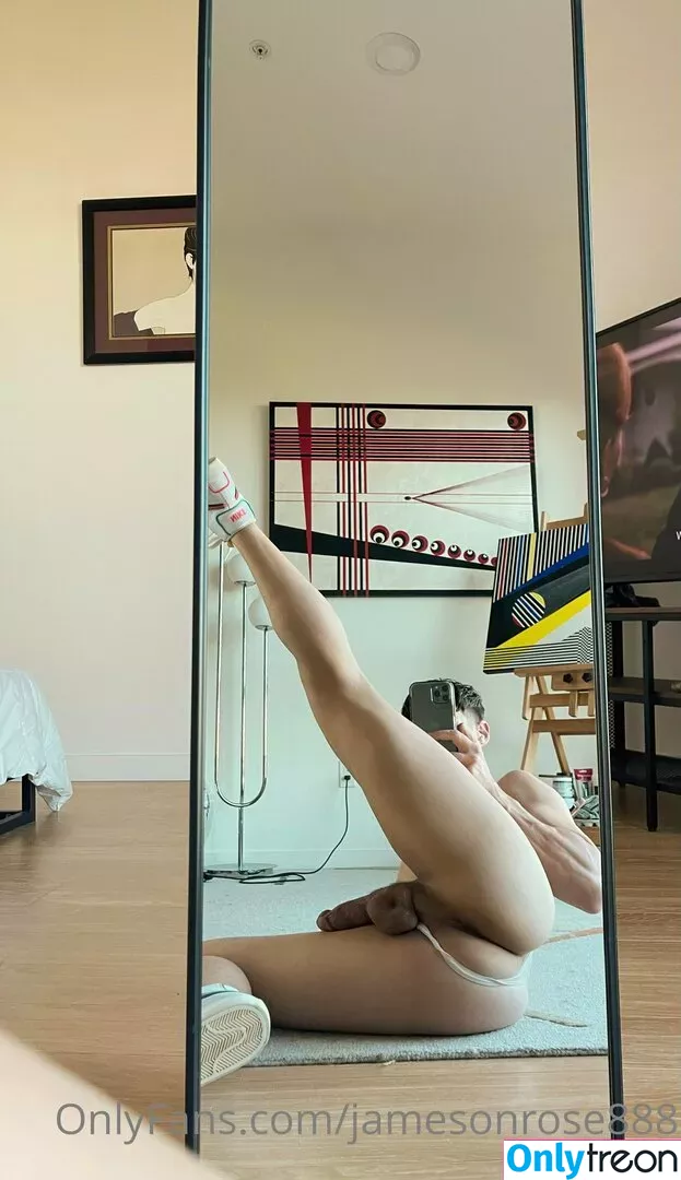 jamesonrose888 nude photo #0082 (foolandmagician)