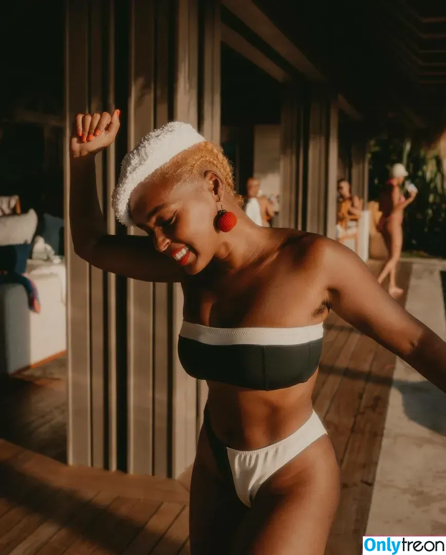 Janelle “Jane” Monáe голая photo #0002 (janellemonae)