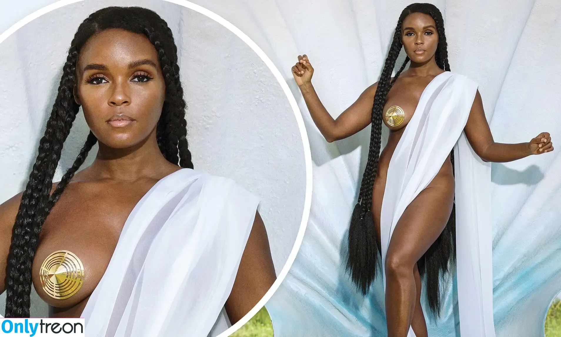 Janelle Monae голая photo #0518 (janellemonae)