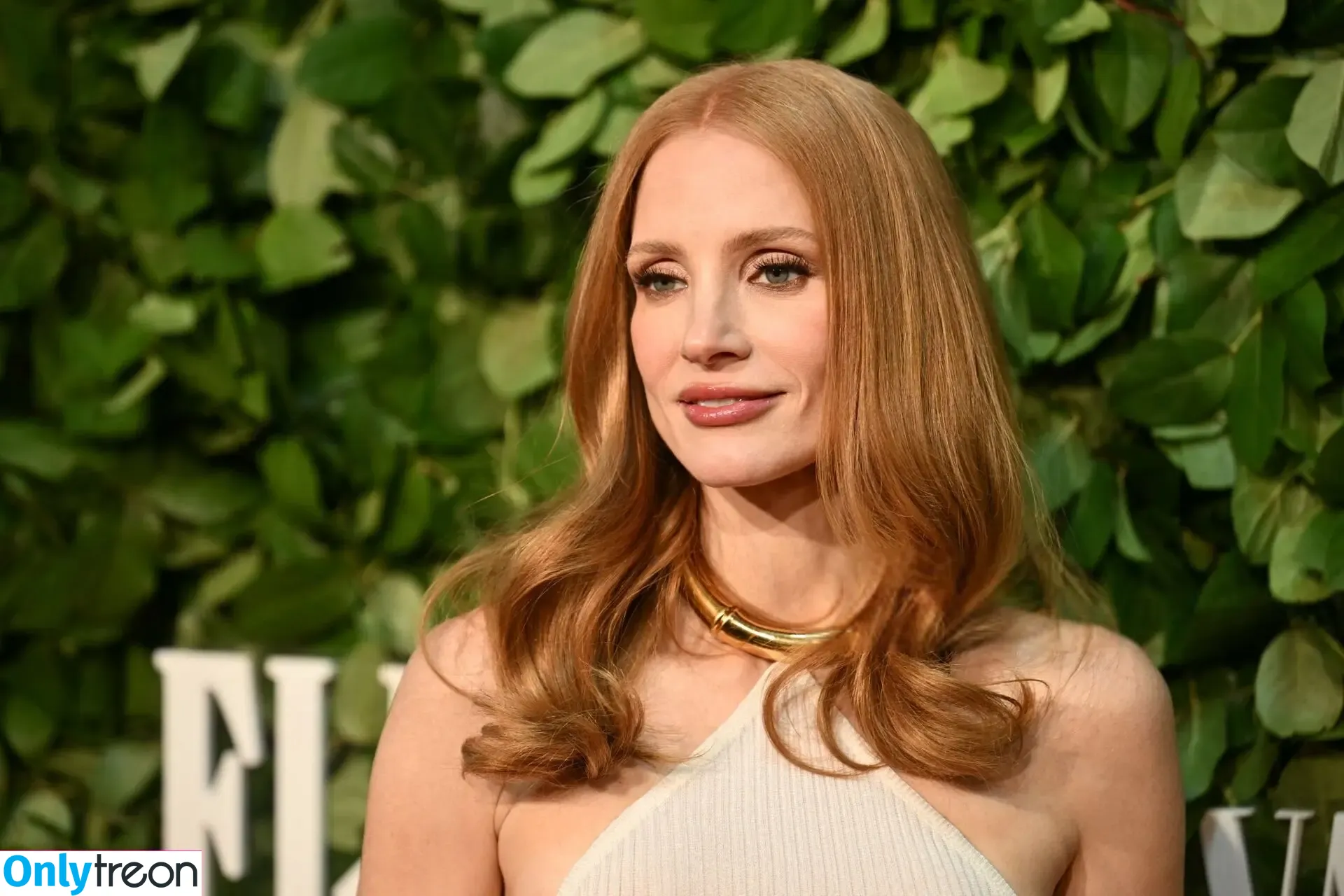 Jessica Chastain nude photo #1527 (jessicachastain)