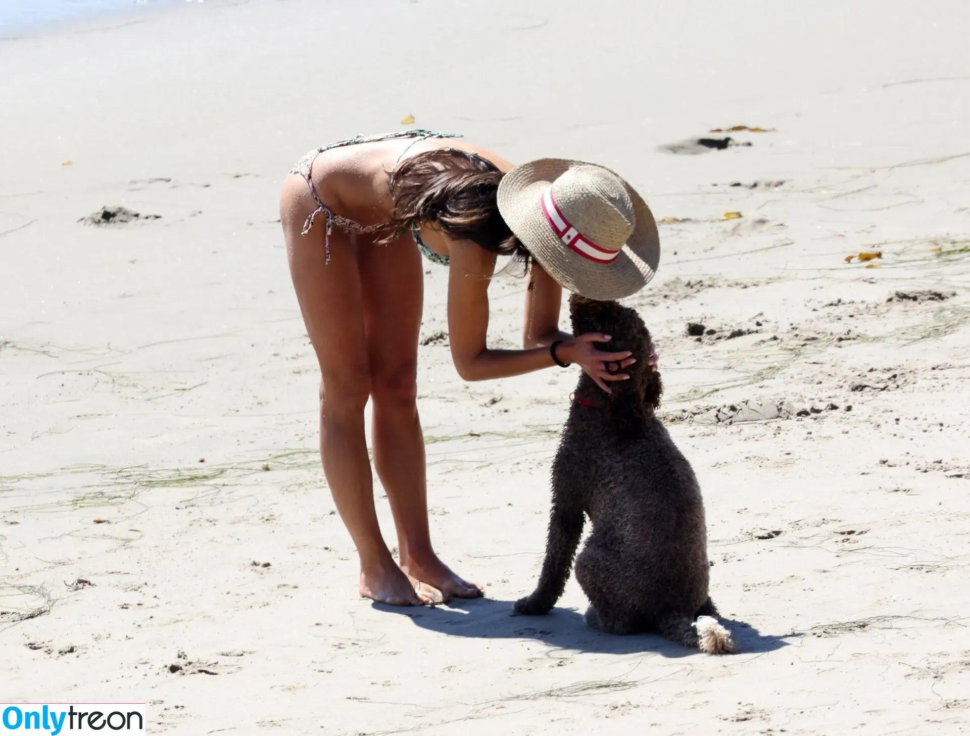 Jordana Brewster голая photo #0049 (JordanaBrewster)