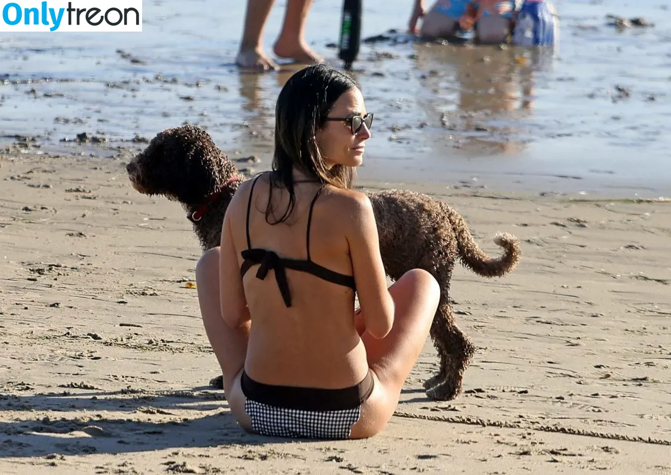 Jordana Brewster голая photo #0056 (JordanaBrewster)