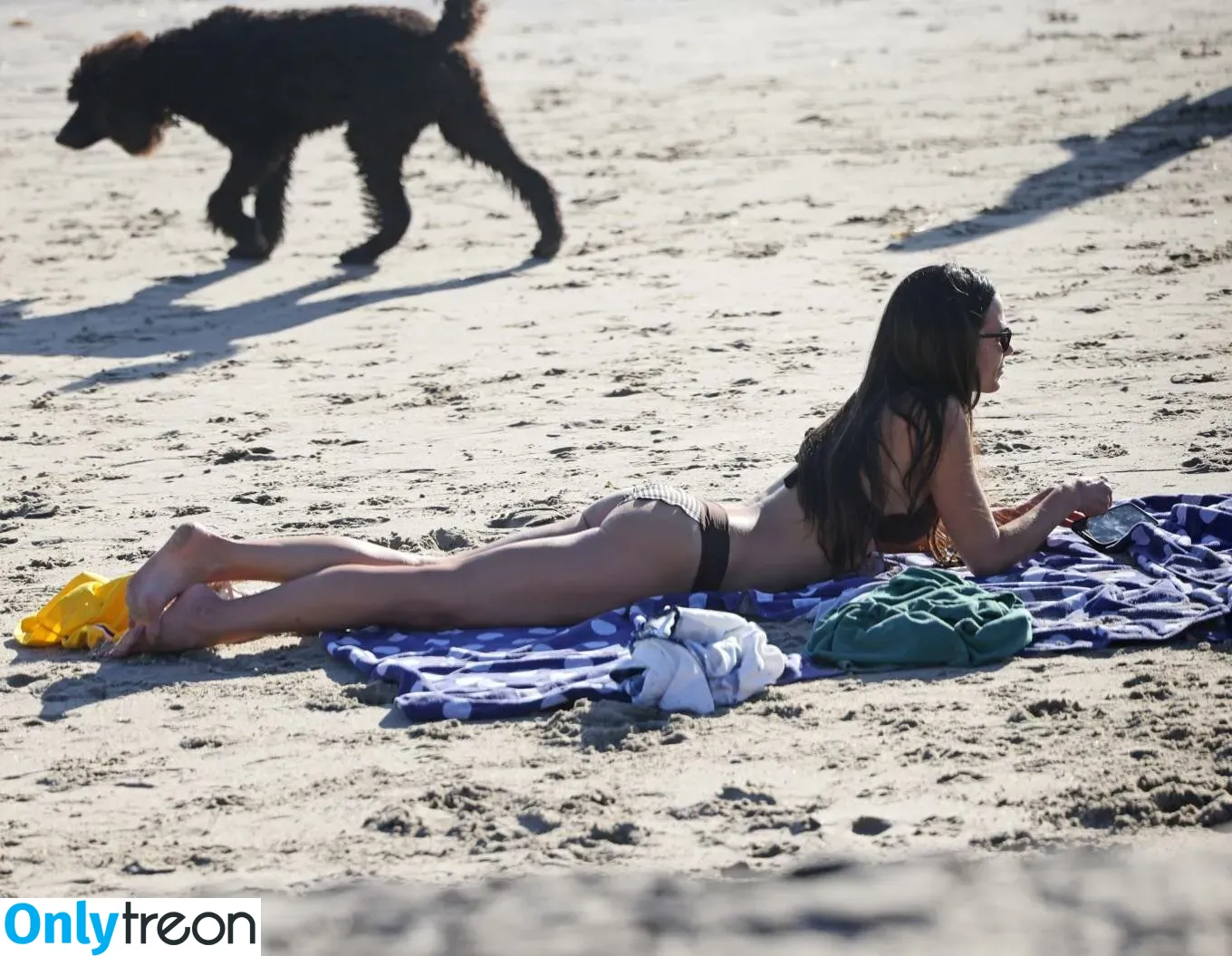 Jordana Brewster голая photo #0058 (JordanaBrewster)
