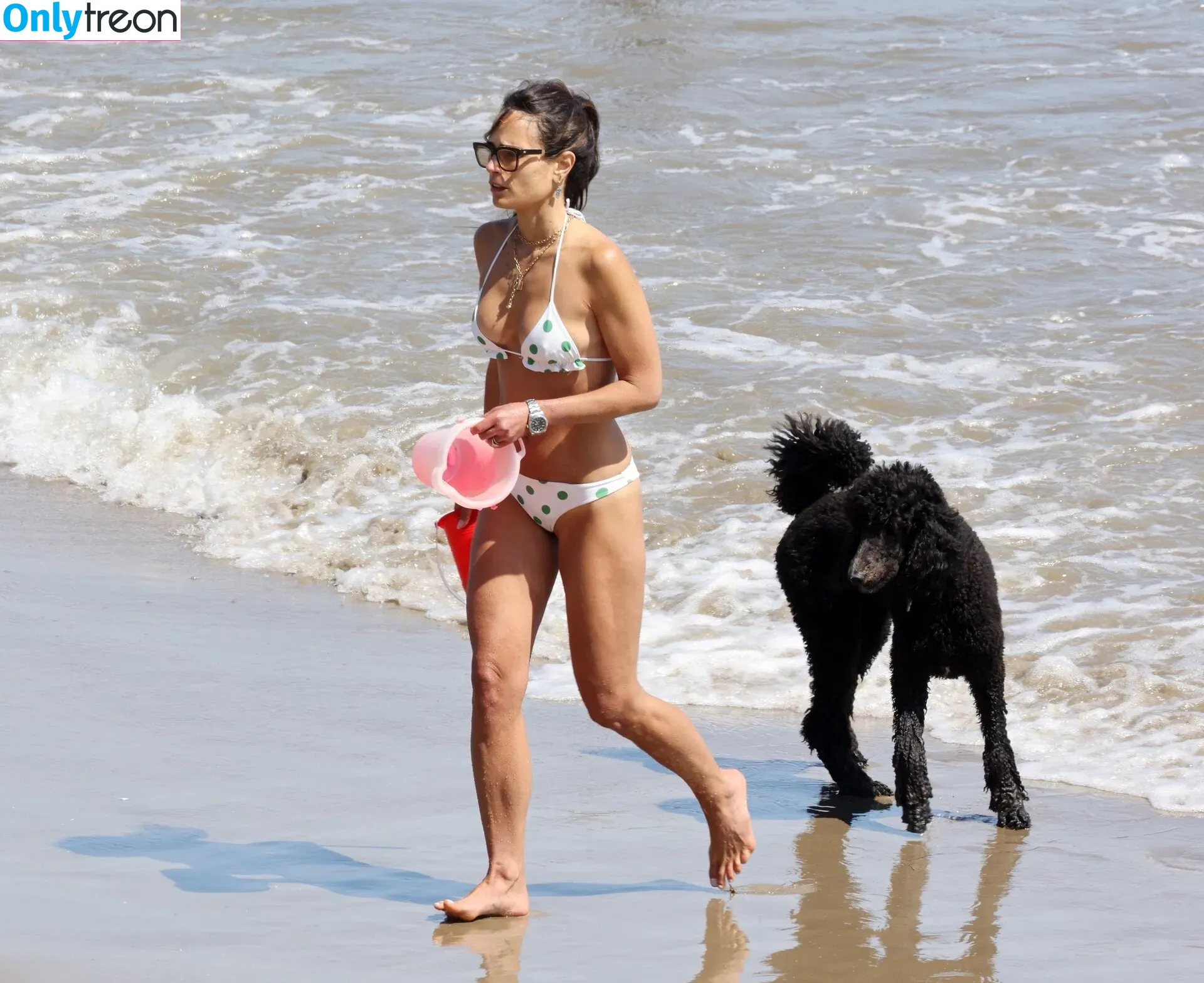 Jordana Brewster голая photo #0127 (JordanaBrewster)