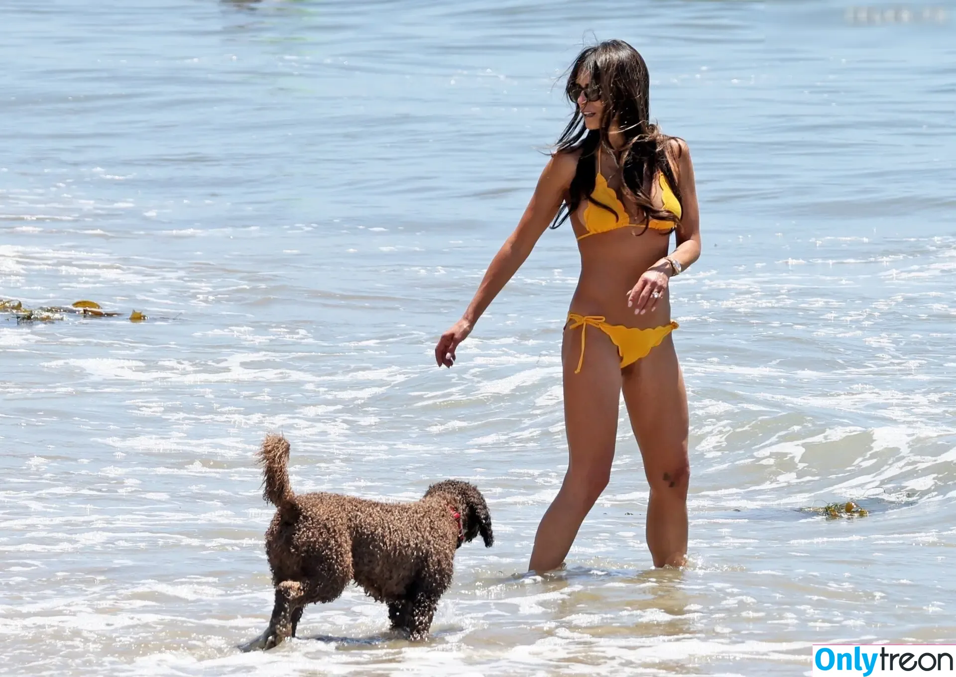 Jordana Brewster голая photo #0463 (JordanaBrewster)