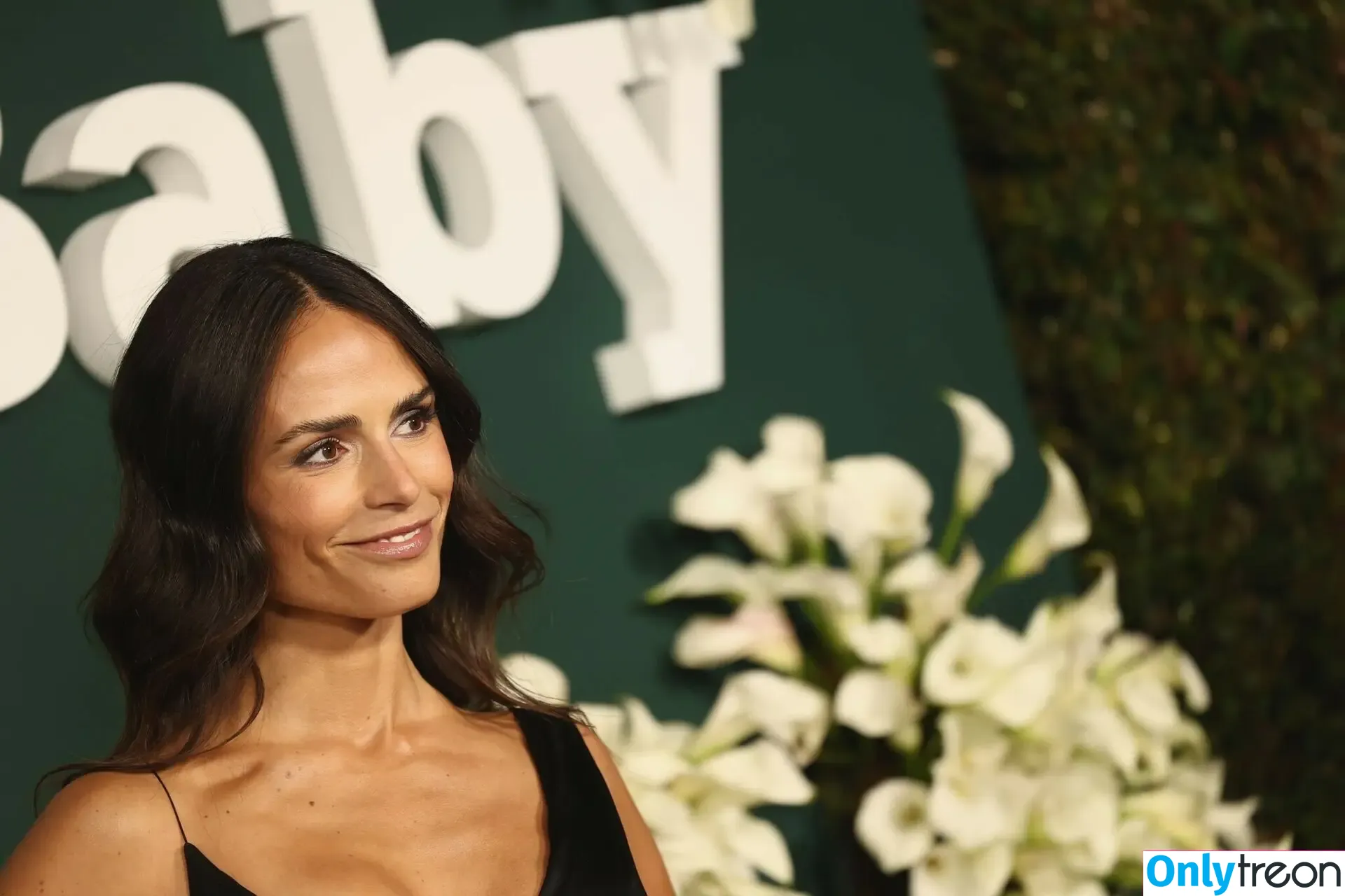 Jordana Brewster nude photo #0613 (JordanaBrewster)