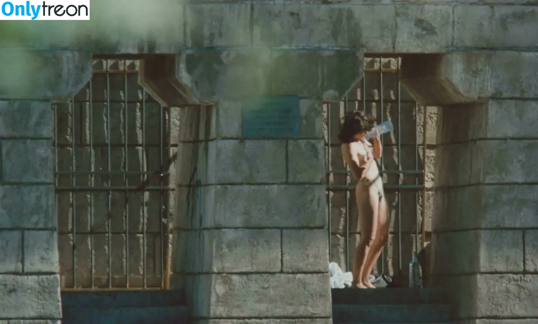 Juliette Binoche nude photo #0077 (juliettebinoche)