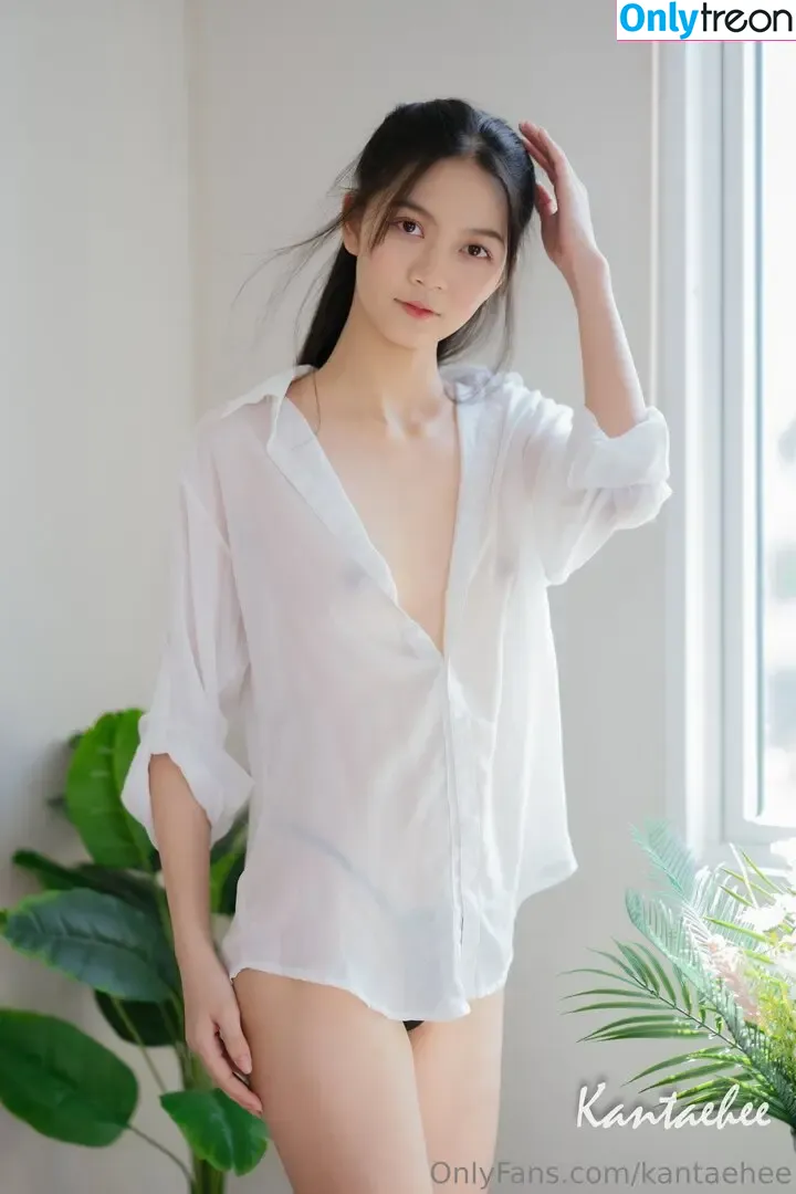 Kantaehee nude photo #0105 (Kantaehee)