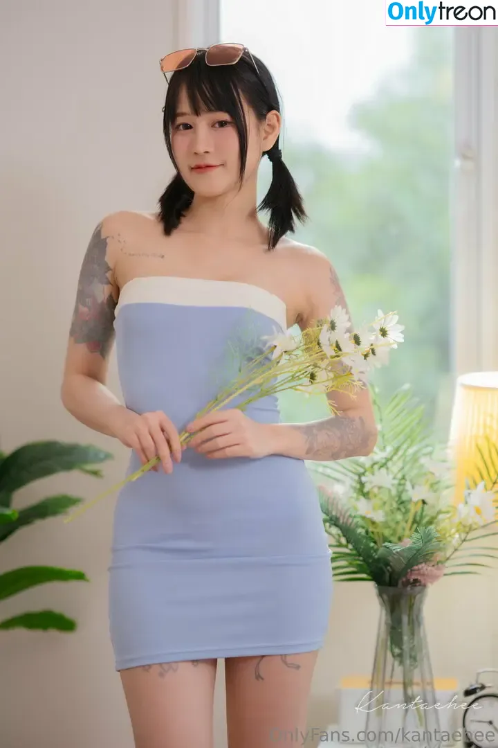 Kantaehee голая photo #0824 (Kantaehee)