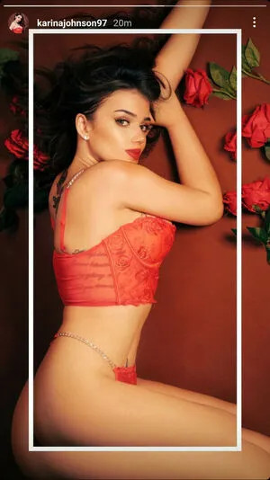Karina Johnson / karinajohnson97 фото голая #0138