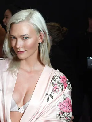 Karlie Kloss / karliekloss фото голая #0106