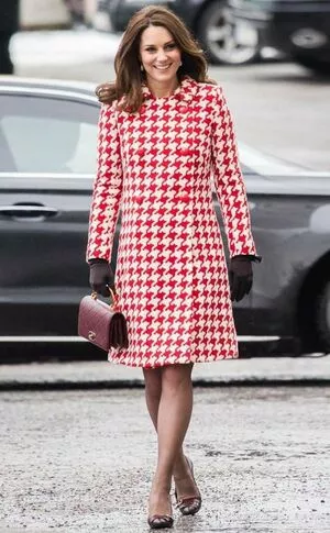 Kate Middleton / Catherine / Catherine Elizabeth / PrincessWales / princeandprincessofwales nude photo #0101