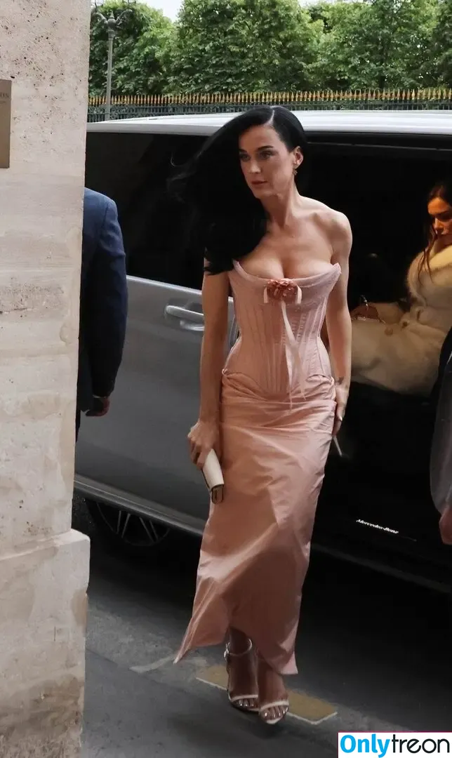 Katy Perry nude photo #3358 (katyperry)