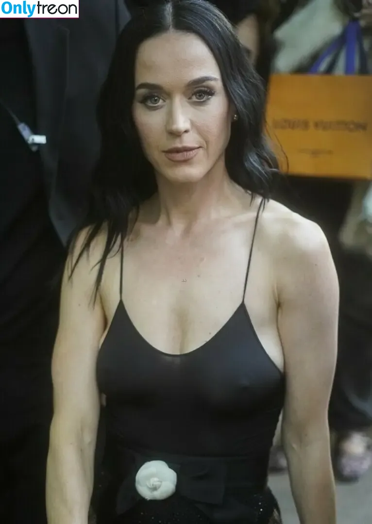 Katy Perry nude photo #3364 (katyperry)