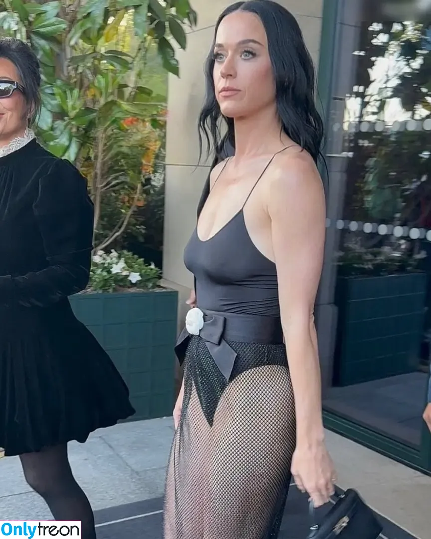 Katy Perry nude photo #3375 (katyperry)