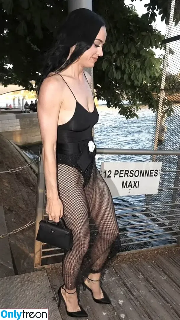 Katy Perry nude photo #3387 (katyperry)