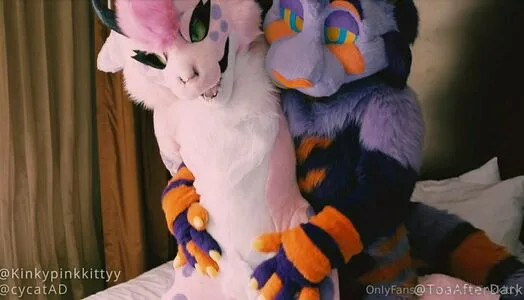 kinkypinkkitty / Kinkypinkkittyy / kinkyykitty фото голая #0046