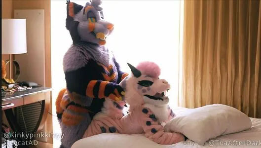 kinkypinkkitty / Kinkypinkkittyy / kinkyykitty фото голая #0047