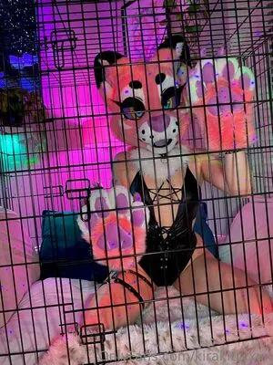 kirakittyxxx / Kiraxxxkat / auroraabloom nude photo #0084