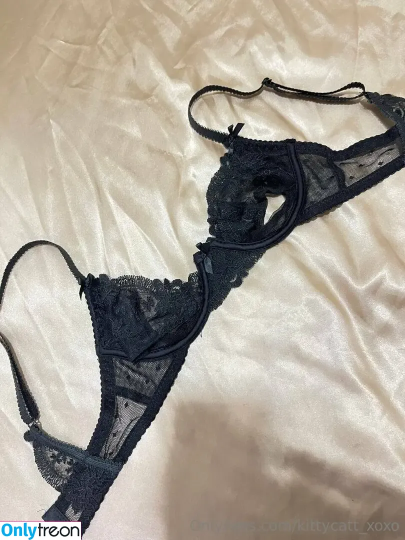 kittycatt_xoxo nude photo #0066 (kittycatt_xoxo)