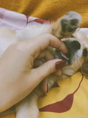 l_hunnybunny_l / hunnybunny420 фото голая #0012