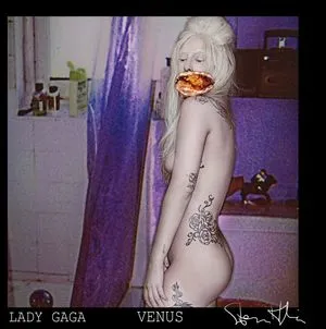 Lady Gaga / ladygaga nude photo #0126