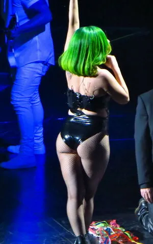 Lady Gaga / ladygaga nude photo #0243