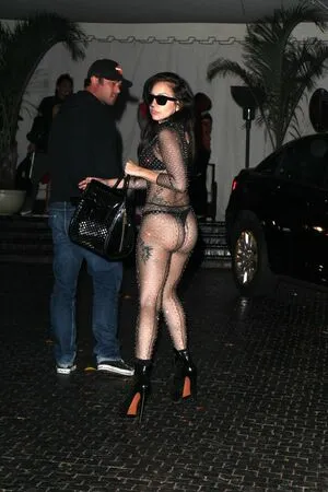 Lady Gaga / ladygaga nude photo #0315