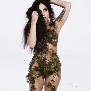 Lady Gaga / ladygaga nude photo #0484