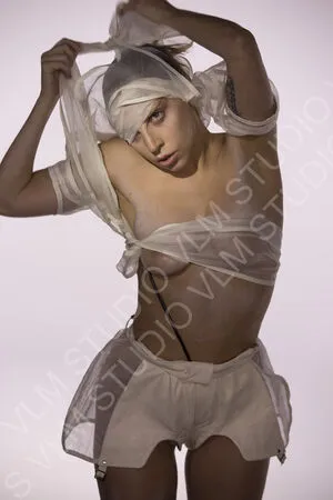 Lady Gaga / ladygaga nude photo #0487