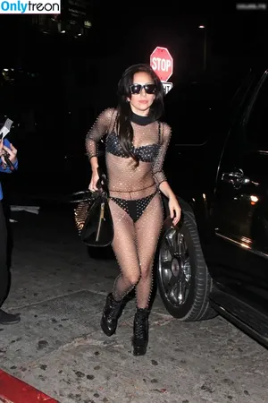 Lady Gaga / ladygaga nude photo #0984