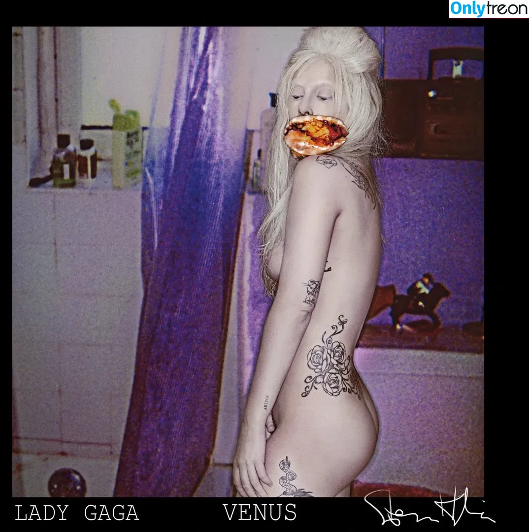 Lady Gaga nude photo #0126 (ladygaga)