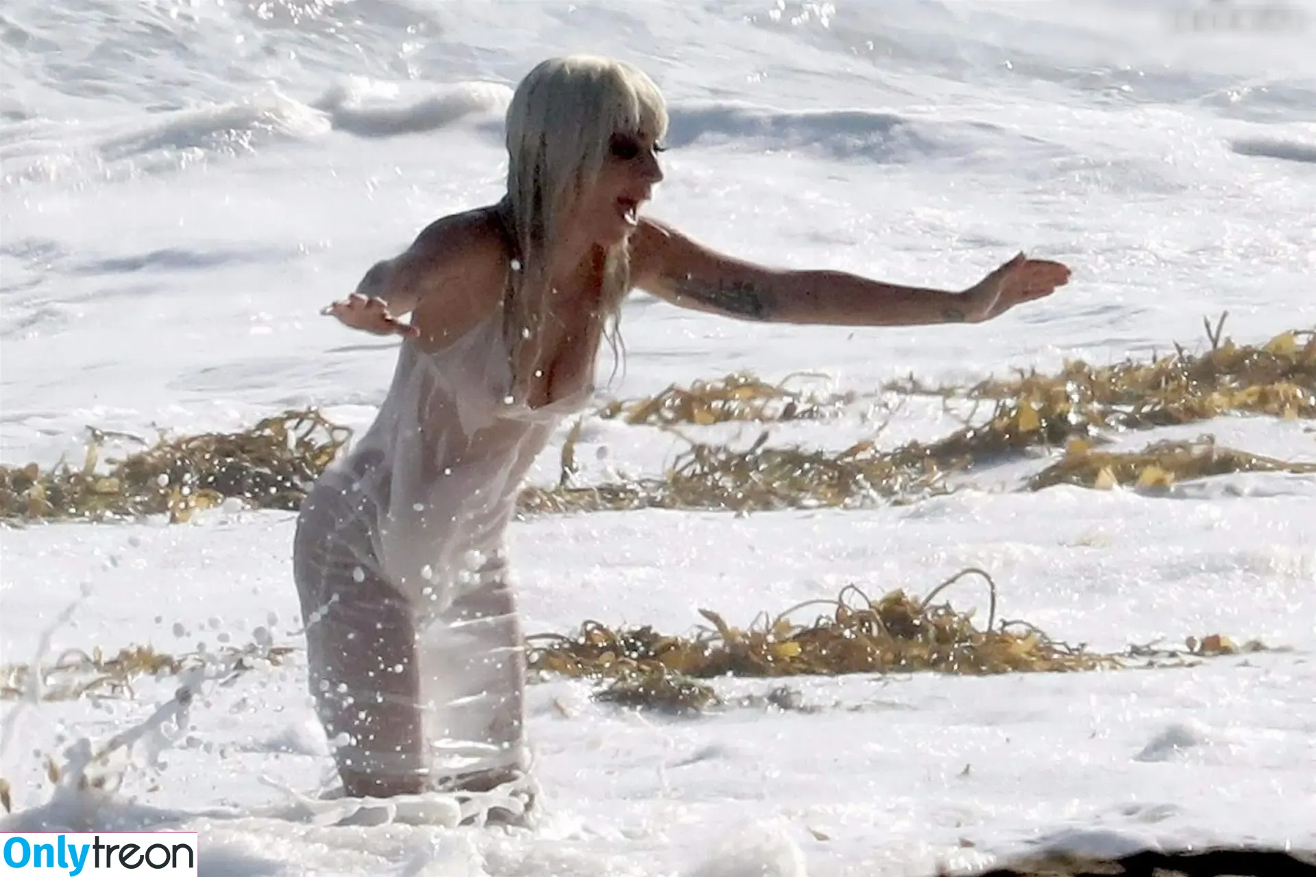 Lady Gaga голая photo #1436 (ladygaga)