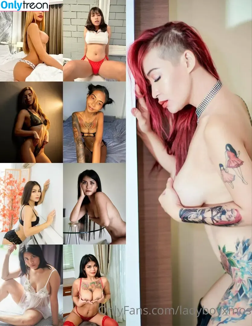 ladyboyxmos голая photo #0031 (ladyboymos)