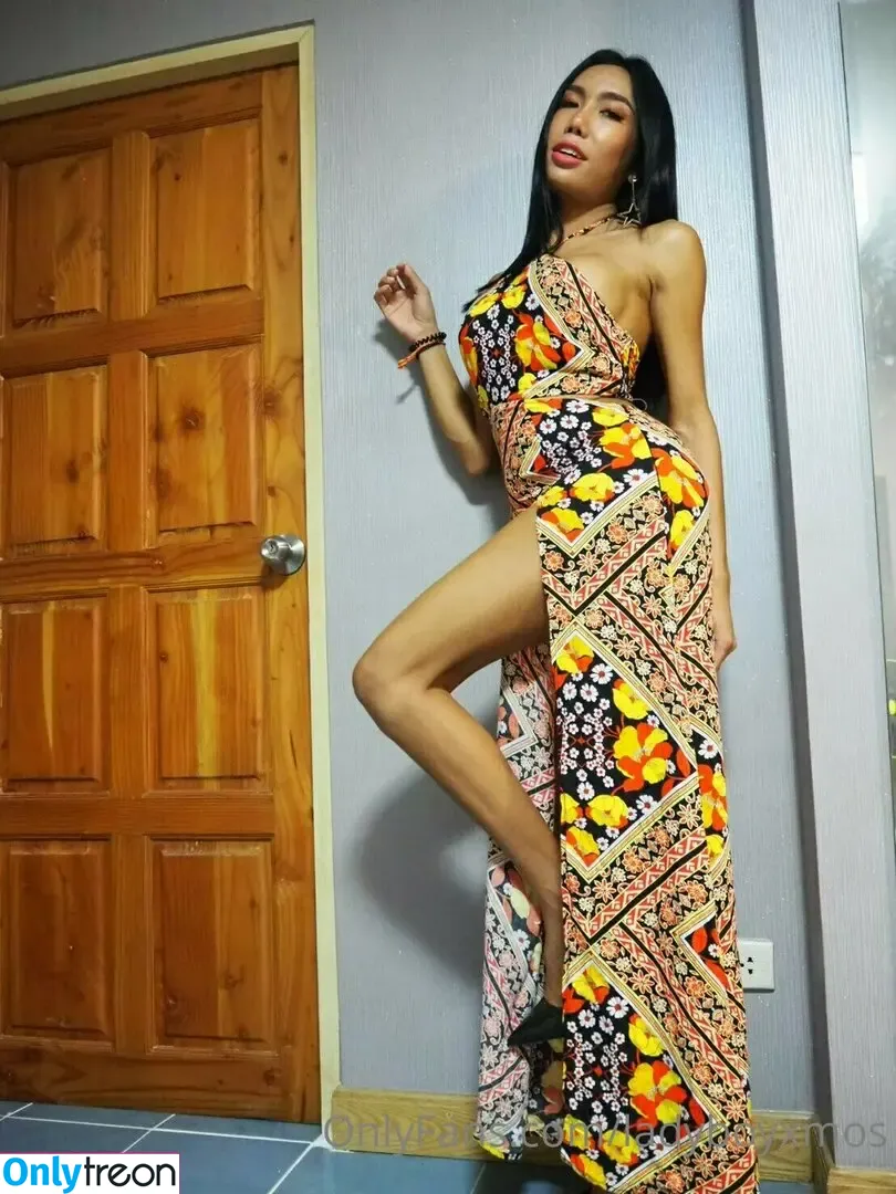 ladyboyxmos голая photo #0170 (ladyboymos)