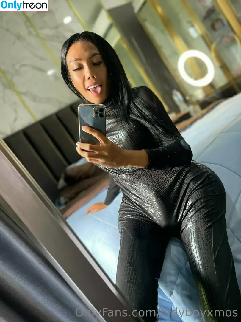ladyboyxmos голая photo #0239 (ladyboymos)
