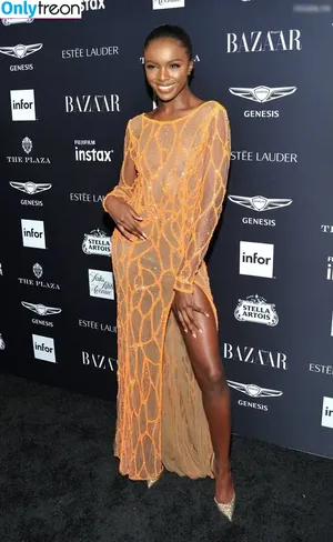 Leomie Anderson / leomieanderson nude photo #0011