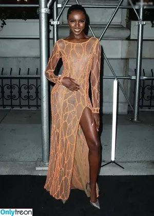 Leomie Anderson / leomieanderson nude photo #0014