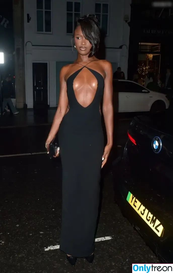Leomie Anderson голая photo #0124 (leomieanderson)