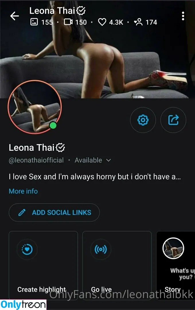 leonathaibkk nude photo #0069 (insta__leona)