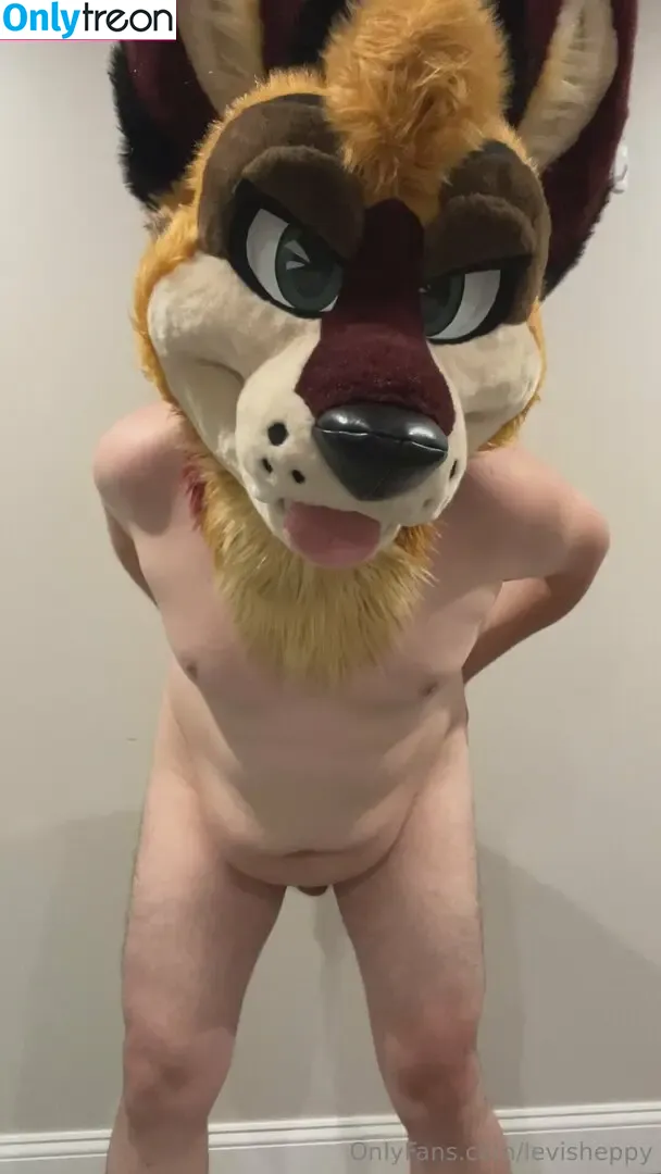 levisheppy голая photo #0054 (thesillygsd)