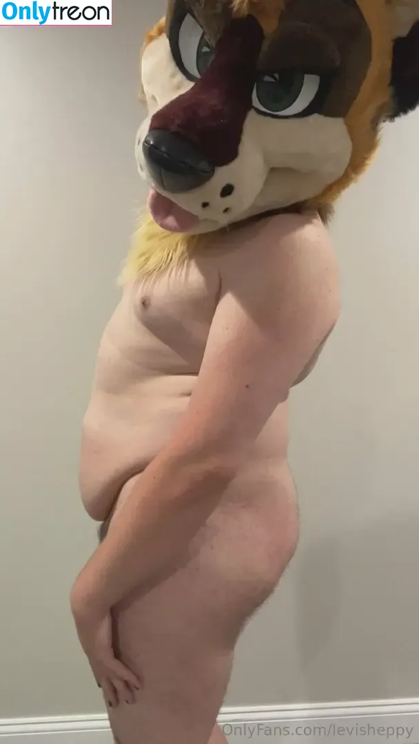 levisheppy nude photo #0057 (thesillygsd)