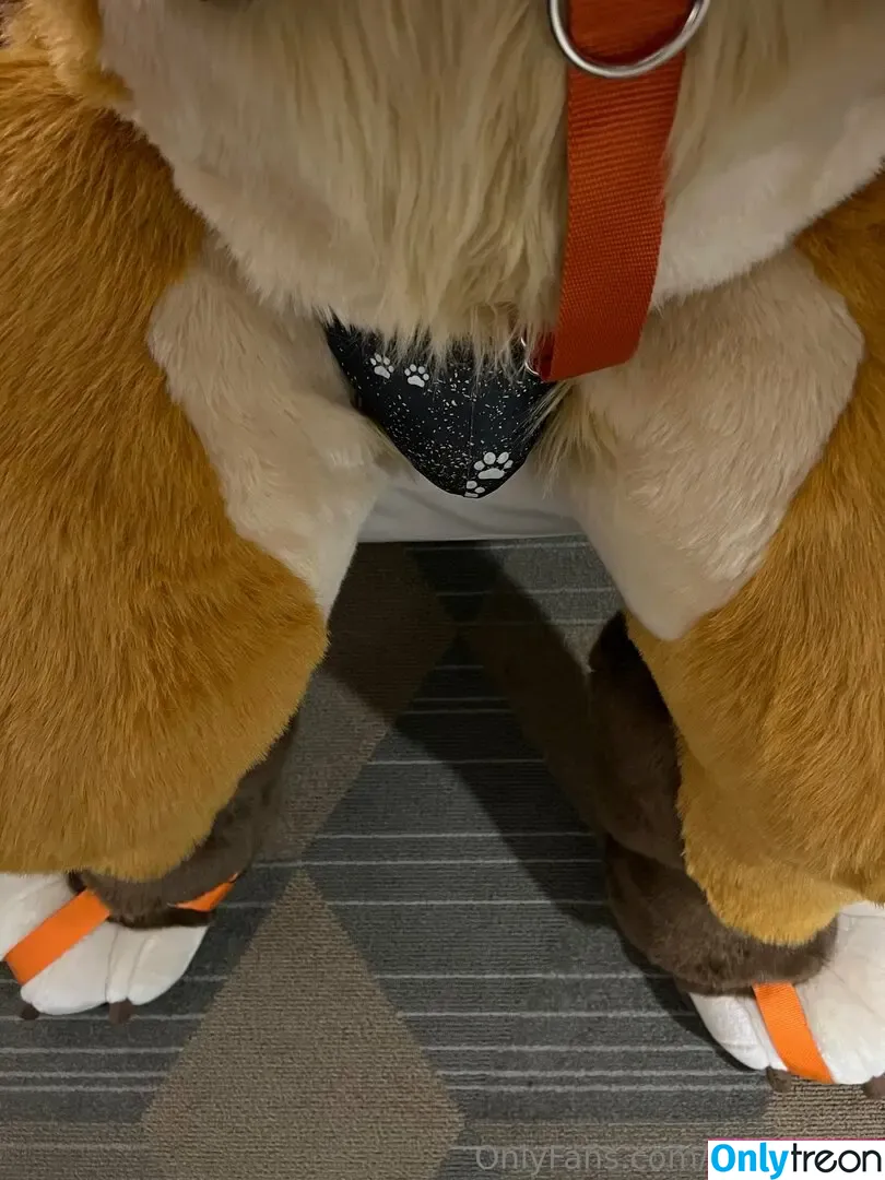 levisheppy голая photo #0060 (thesillygsd)