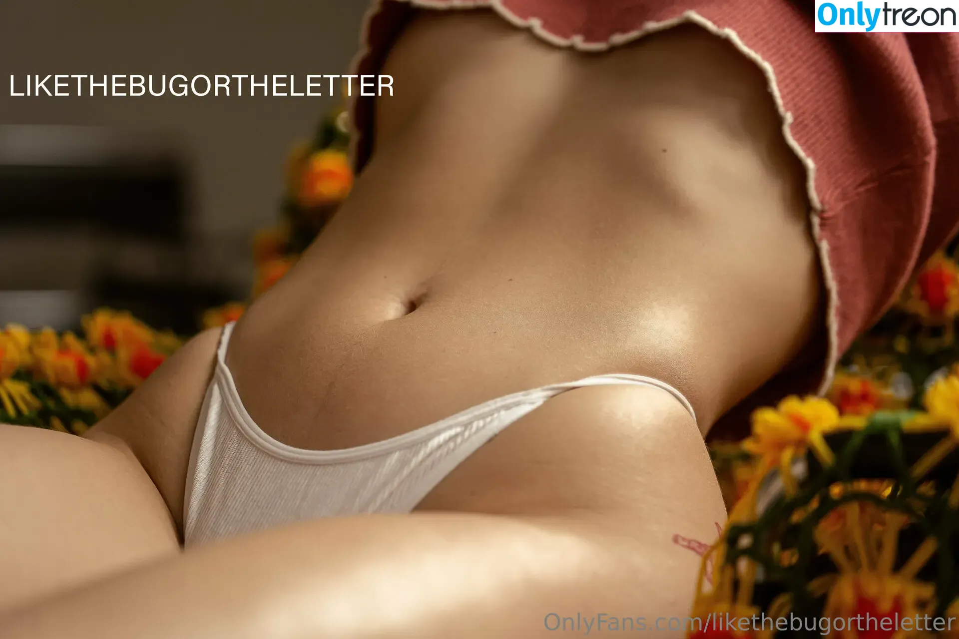 likethebugortheletter nude photo #0288 (likethebugortheletter)