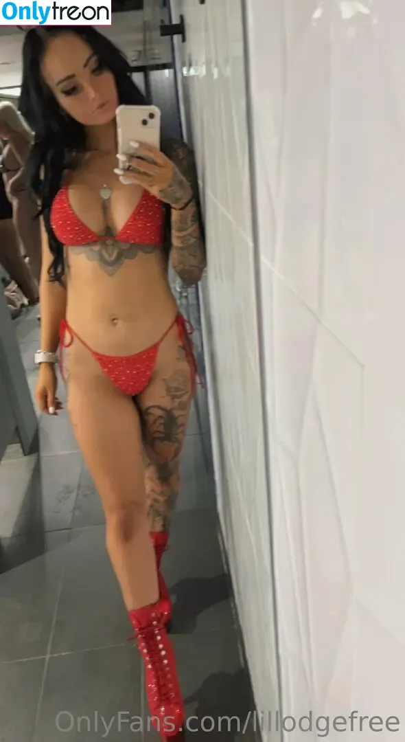 lillodgefree nude photo #0028 (livingtinywithawolf)