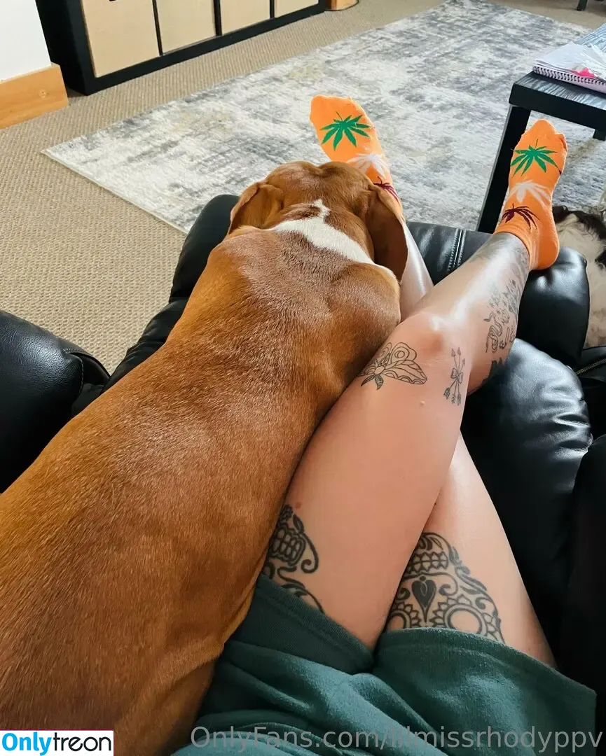lilmissrhodyppv nude photo #0036 (lilmissrhody)