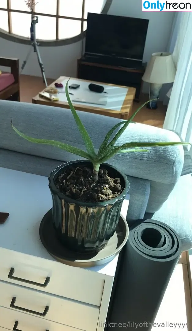 lilyofthevalleyyyy nude photo #0007 (lilyofthevalleyyyy)