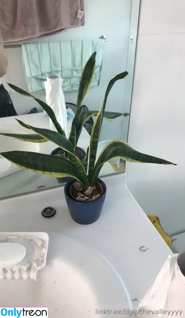lilyofthevalleyyyy nude photo #0008 (lilyofthevalleyyyy)