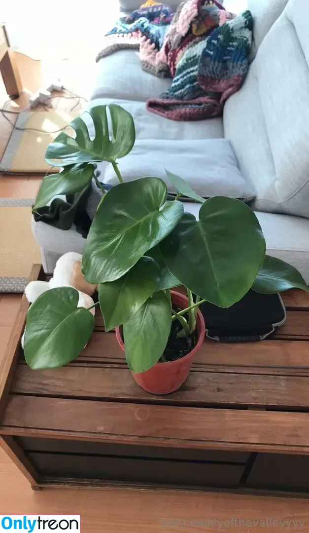 lilyofthevalleyyyy голая photo #0009 (lilyofthevalleyyyy)